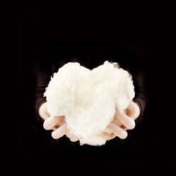 the heart of merino wool